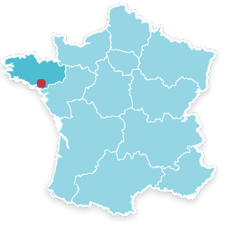 56250 Tresion